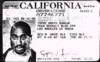 license.jpg